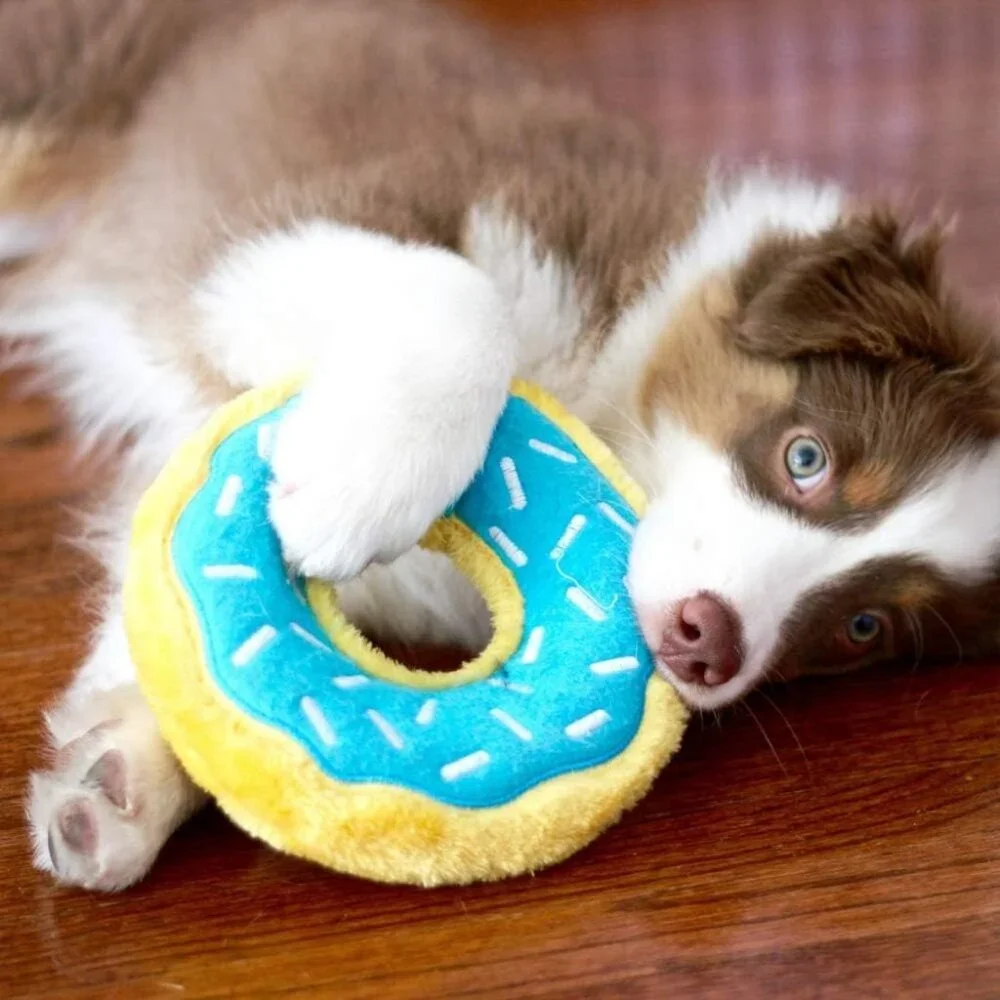 ZippyPaws - Original Donutz - No Stuffing, Squeaky Plush Dog Toy - Blueberry